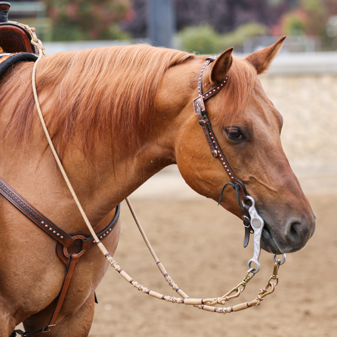 Reins