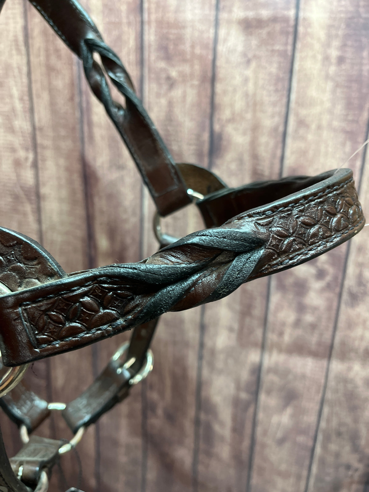 Tooled Halter #42 2Yr/Mare