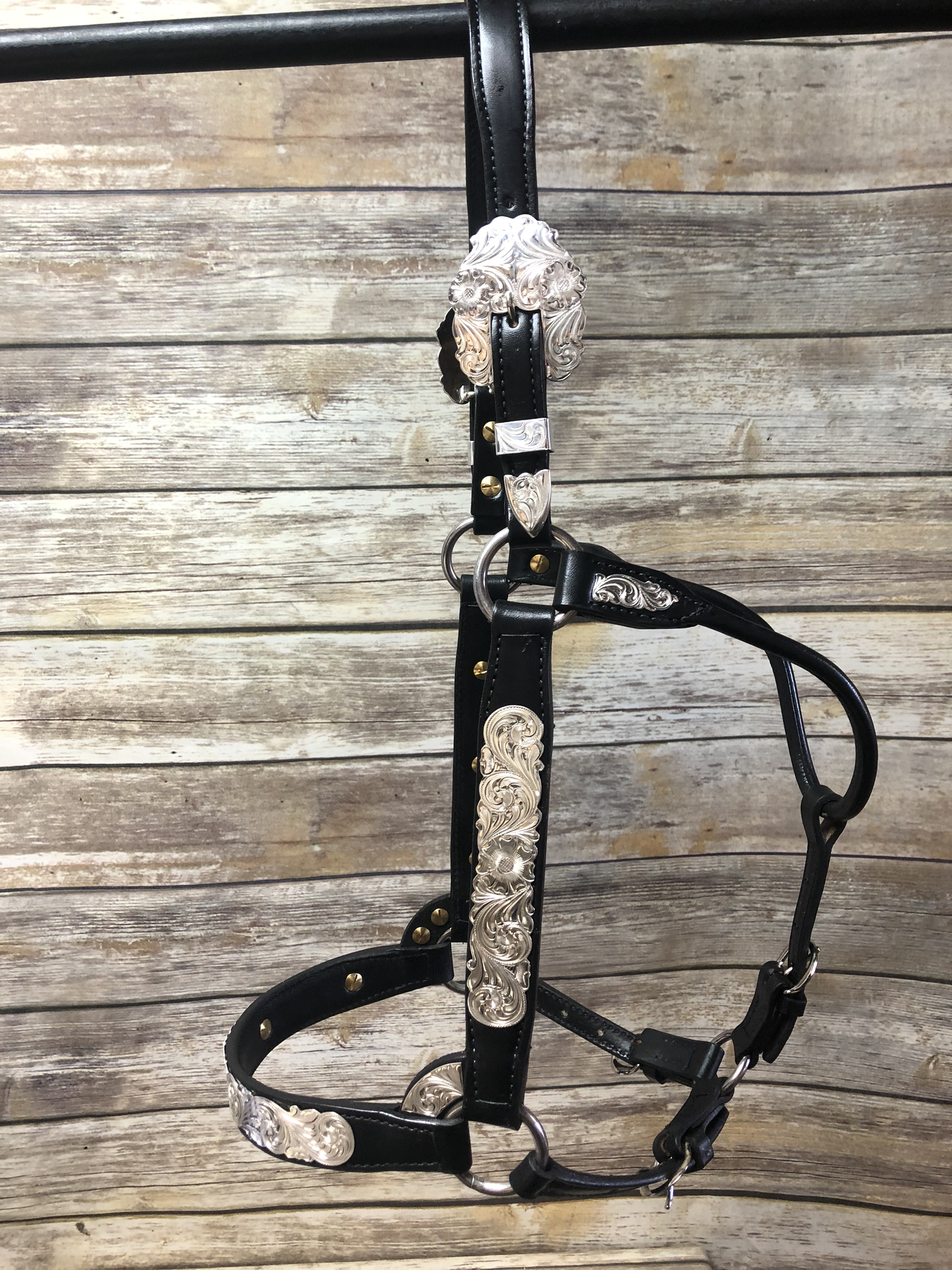 #17 Sterling Overlay Halter