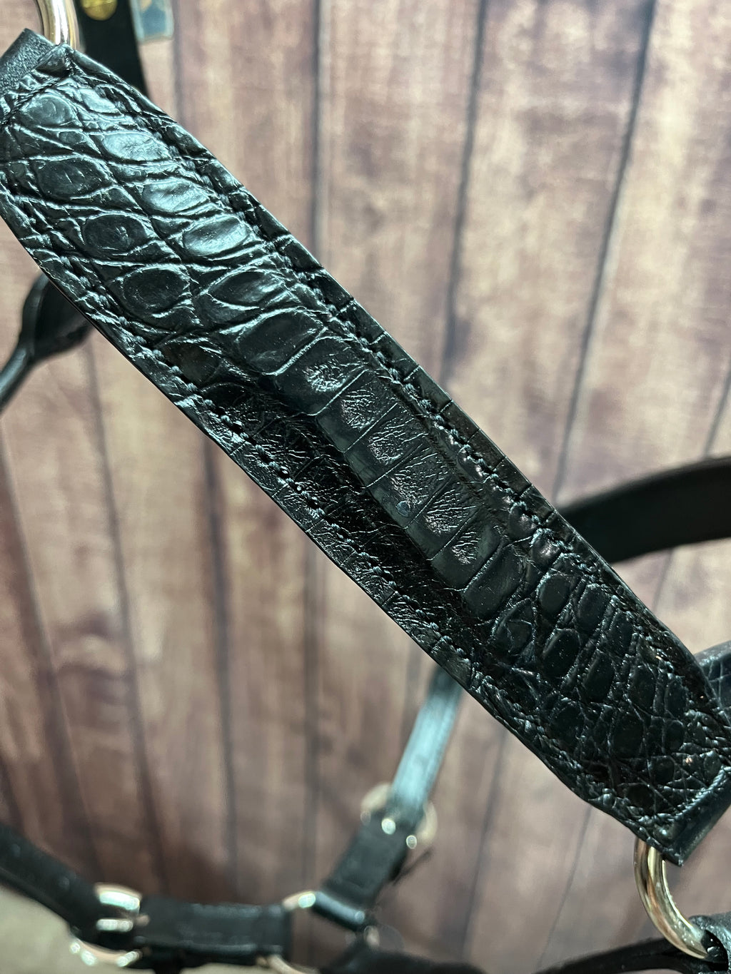 Caiman Halter #3 2Yr/Mare
