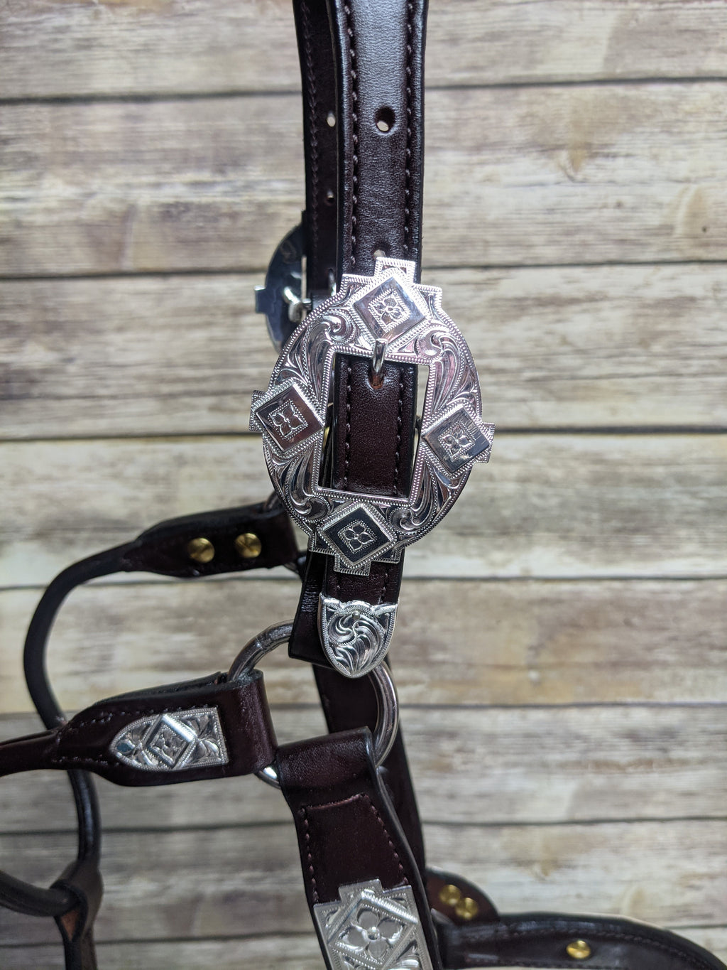 #105 Santana Halter