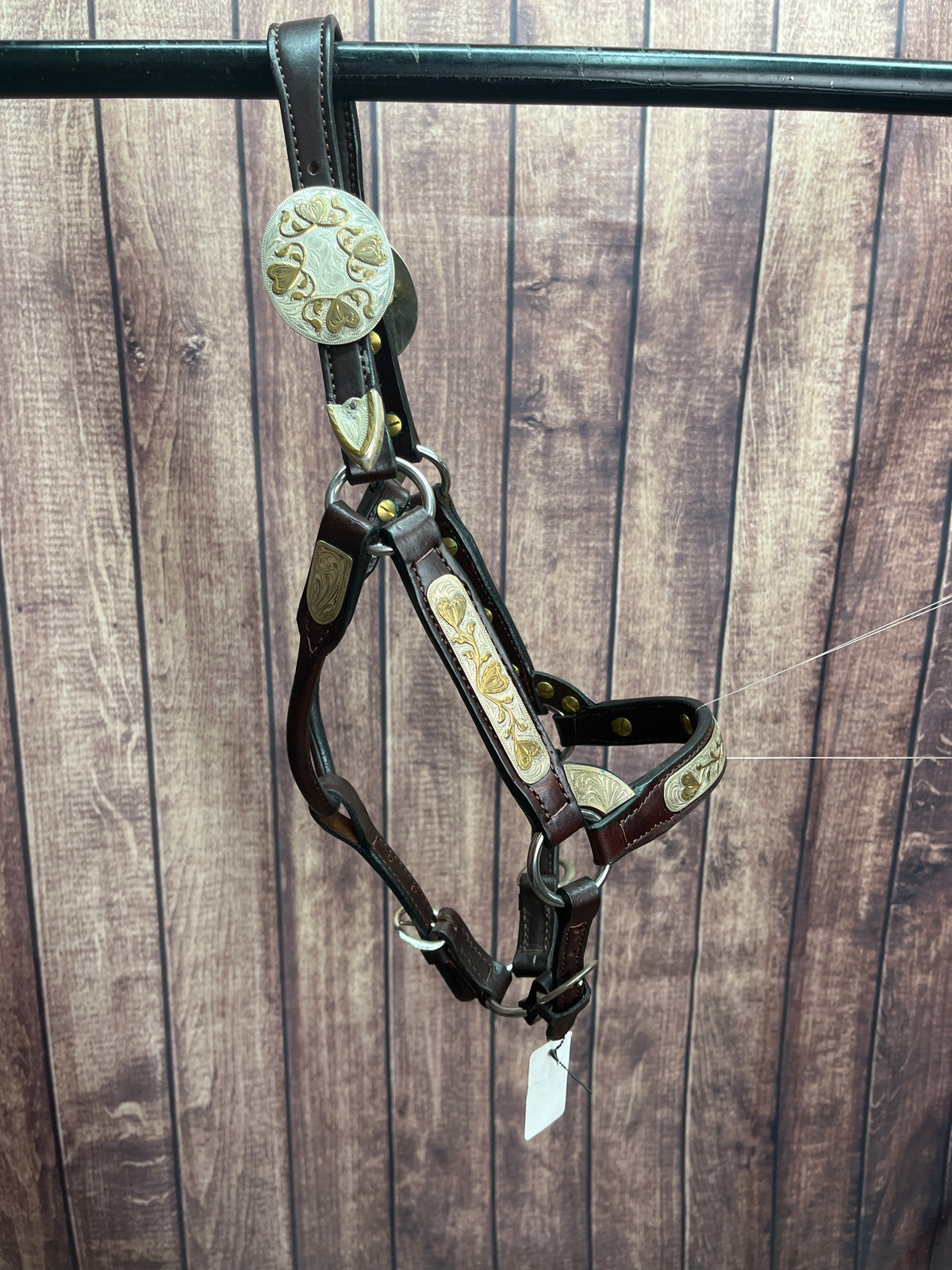 Broken Horn Sterling Overlay Weanling halter
