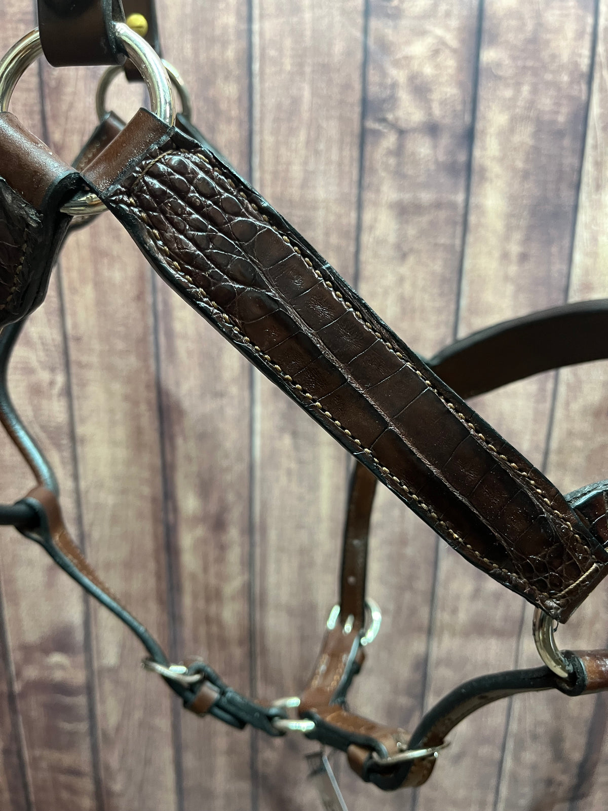 Caiman Halter #8 Yearling
