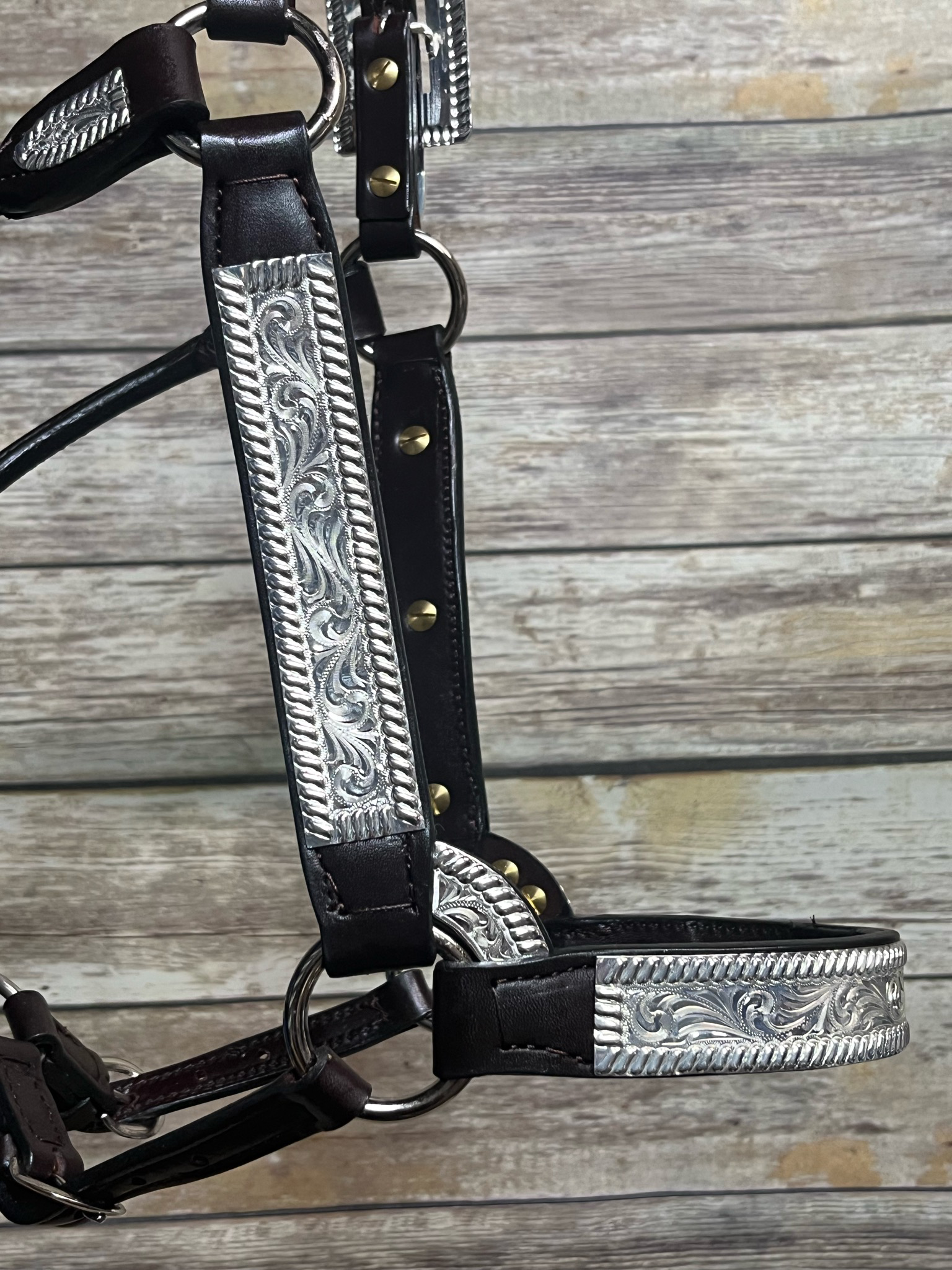 #108 Santana Halter