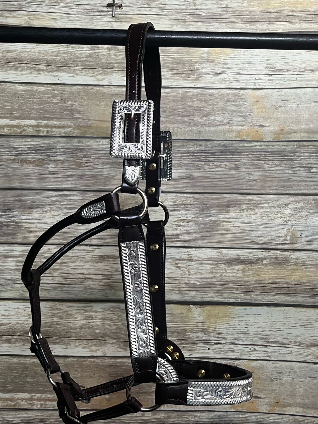 #108 Santana Halter