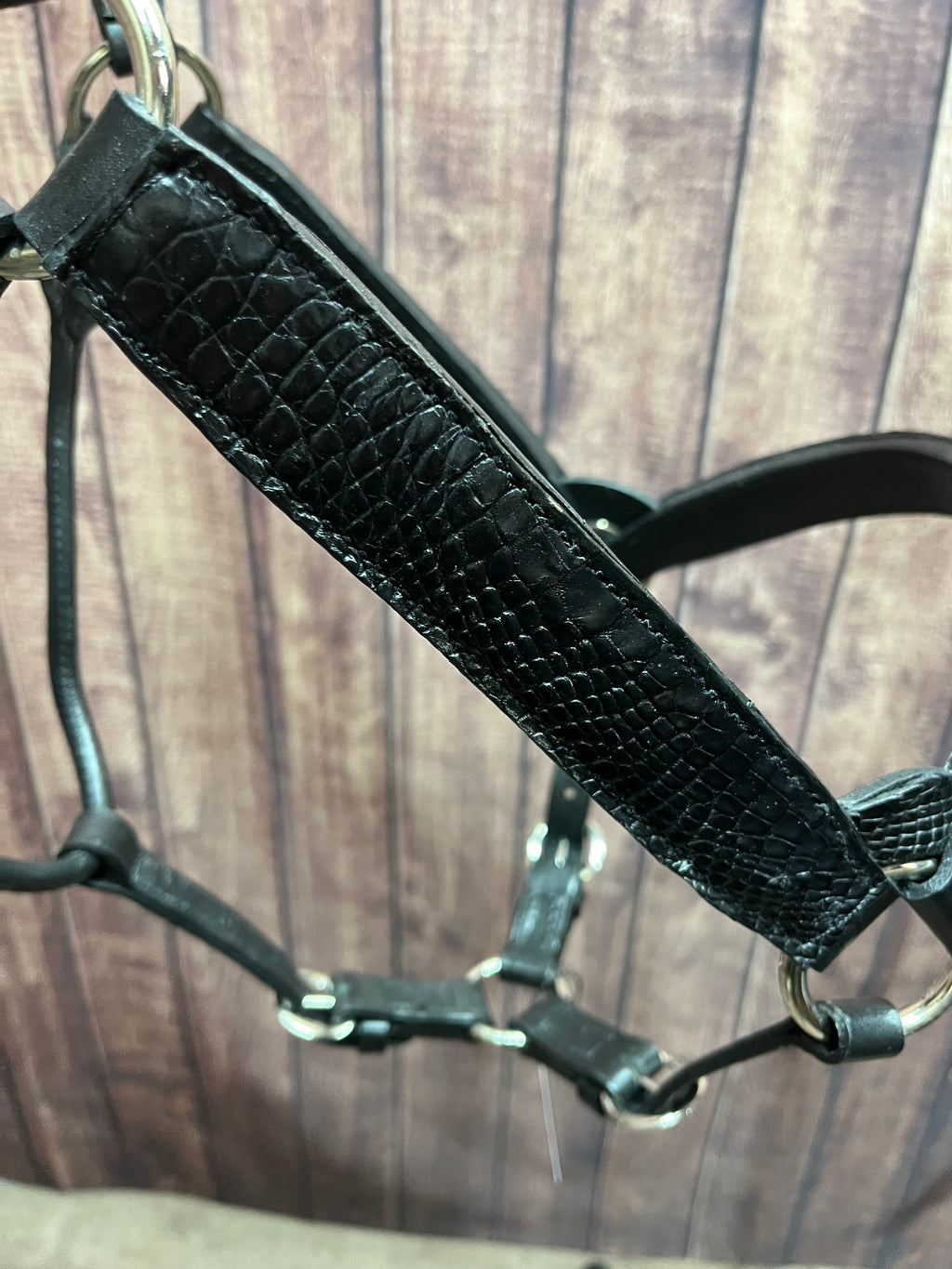 Caiman Halter #16 Horse