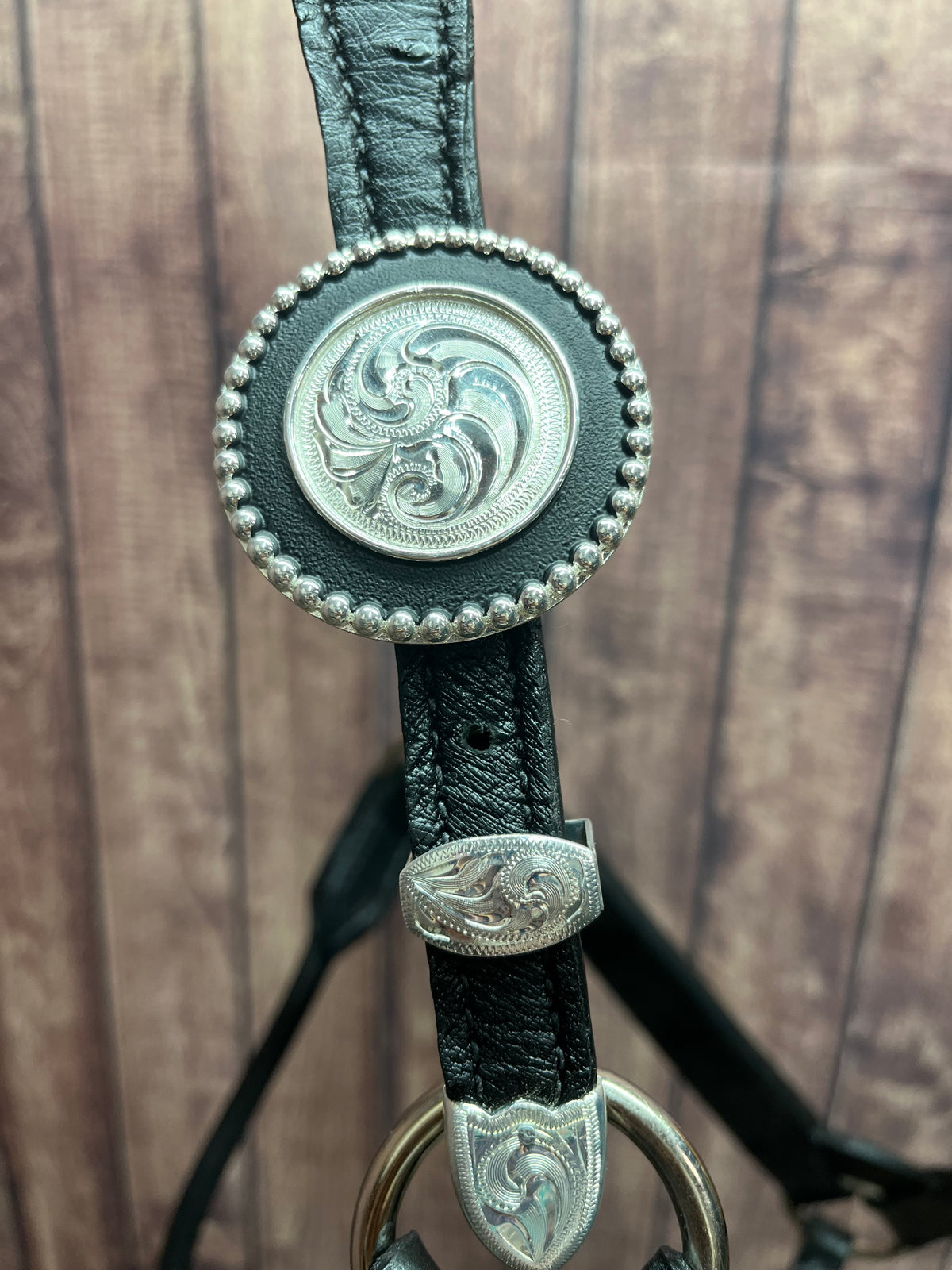 Caiman Halter #1 2Yr/Mare