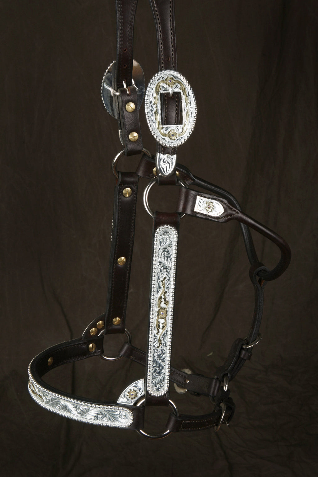 #225 Santana Halter