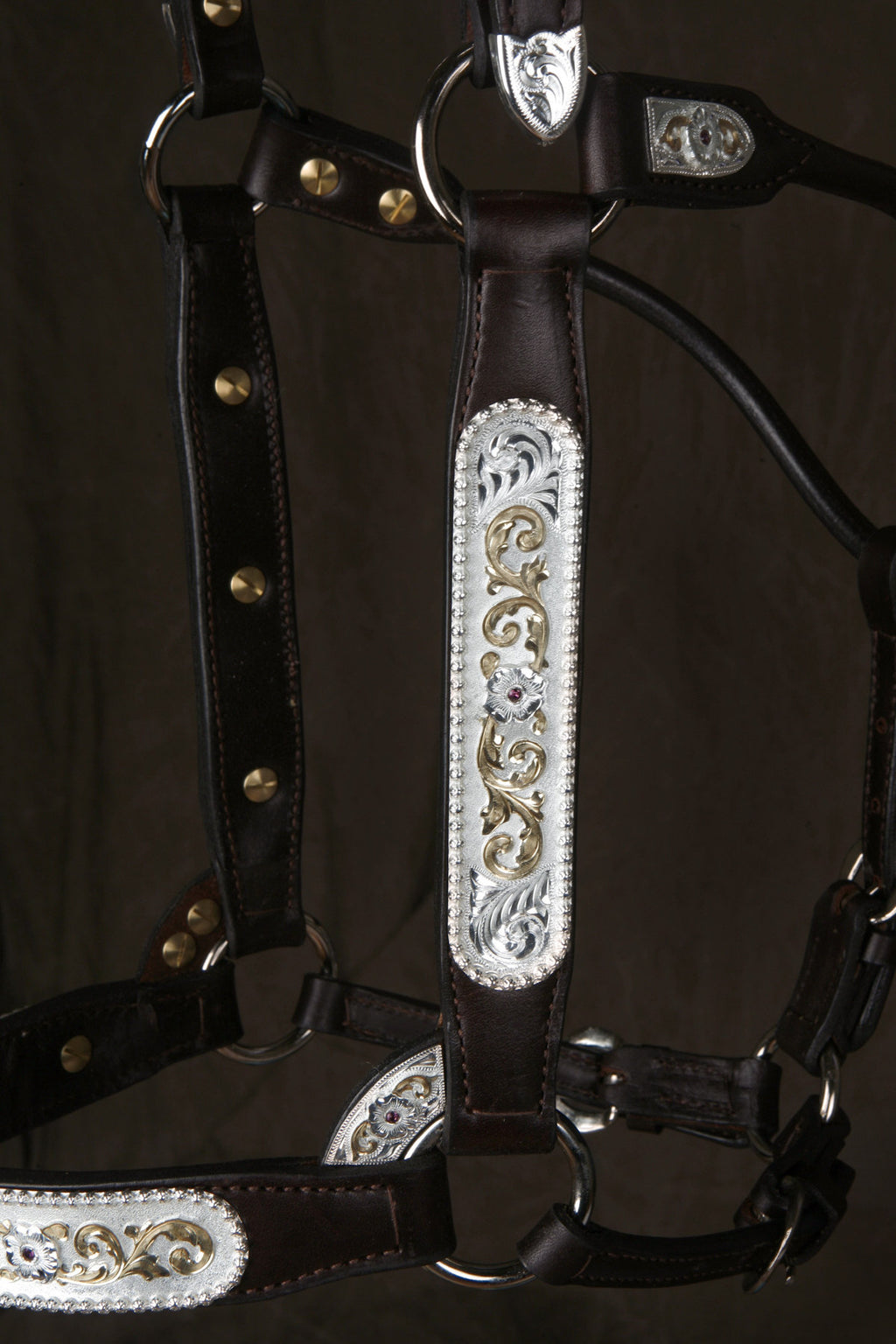 #250 Santana Halter
