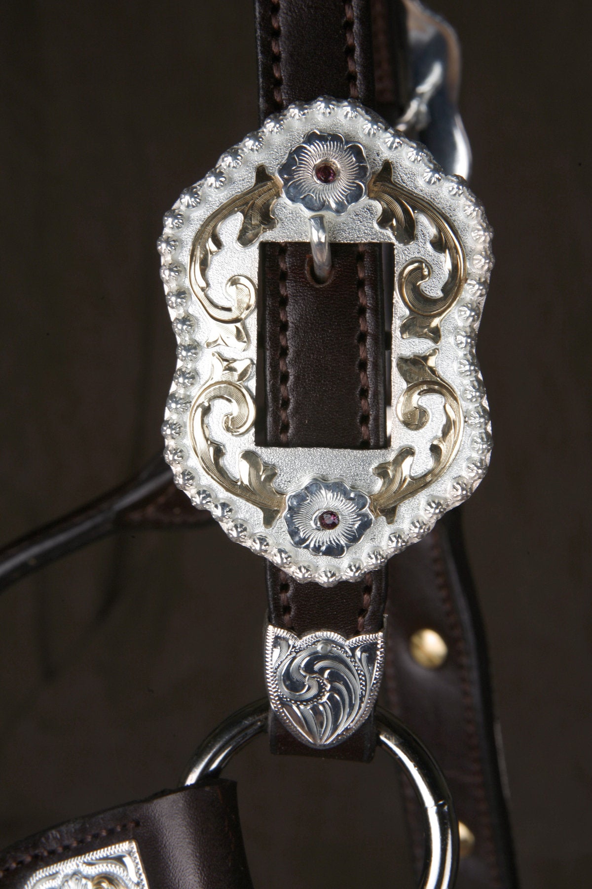 #250 Santana Halter