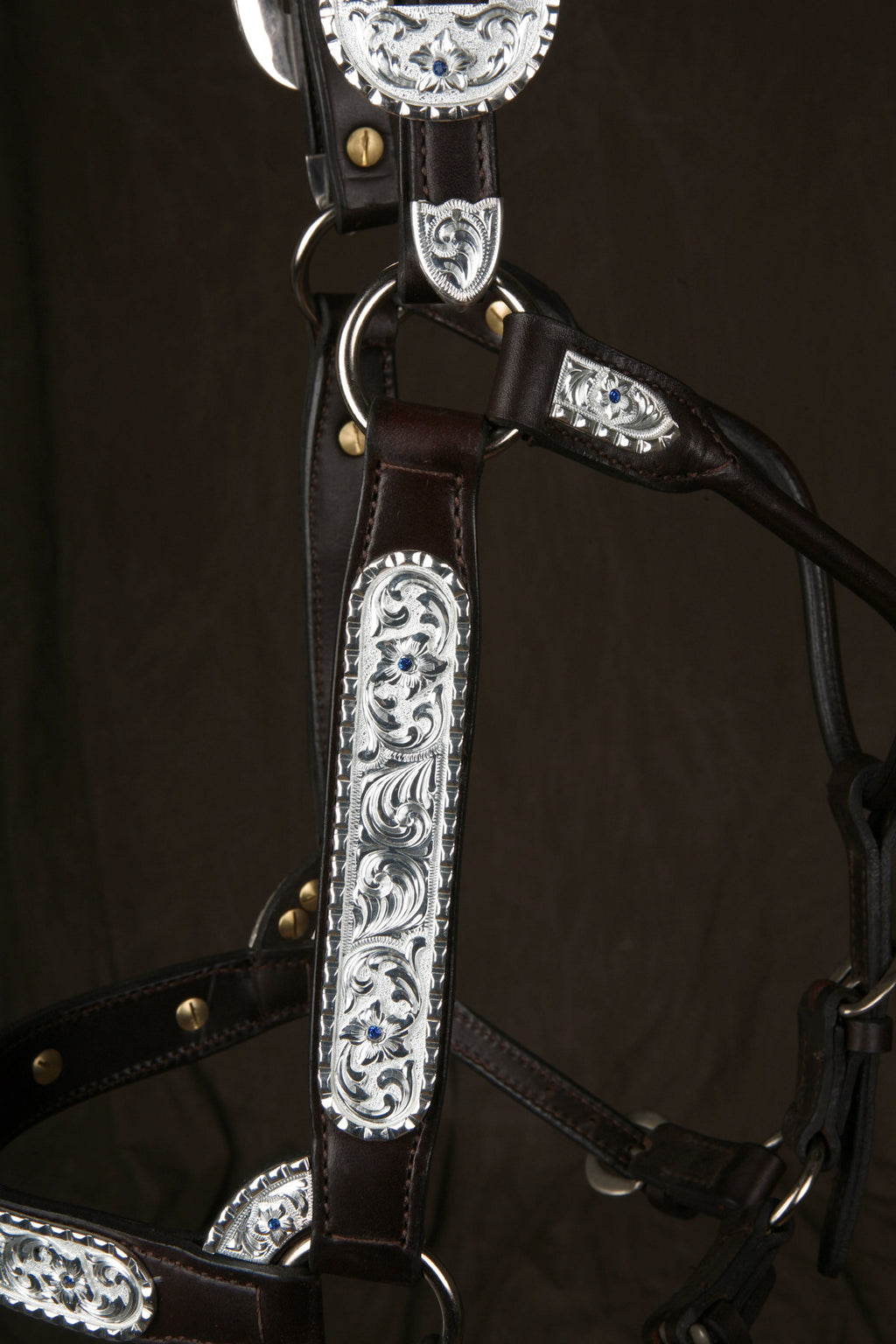 #311 Santana Halter