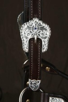 #325 Santana Halter