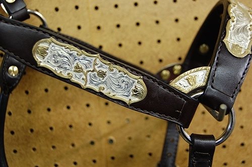 #26 Sterling Overlay Halter