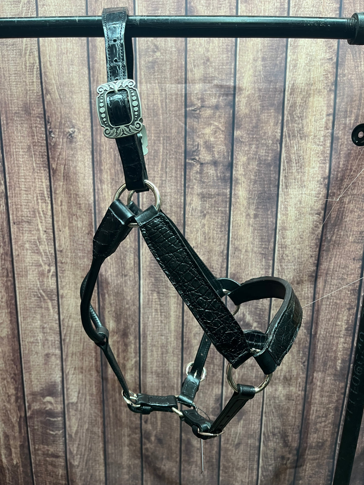 Caiman Halter #9 Yearling