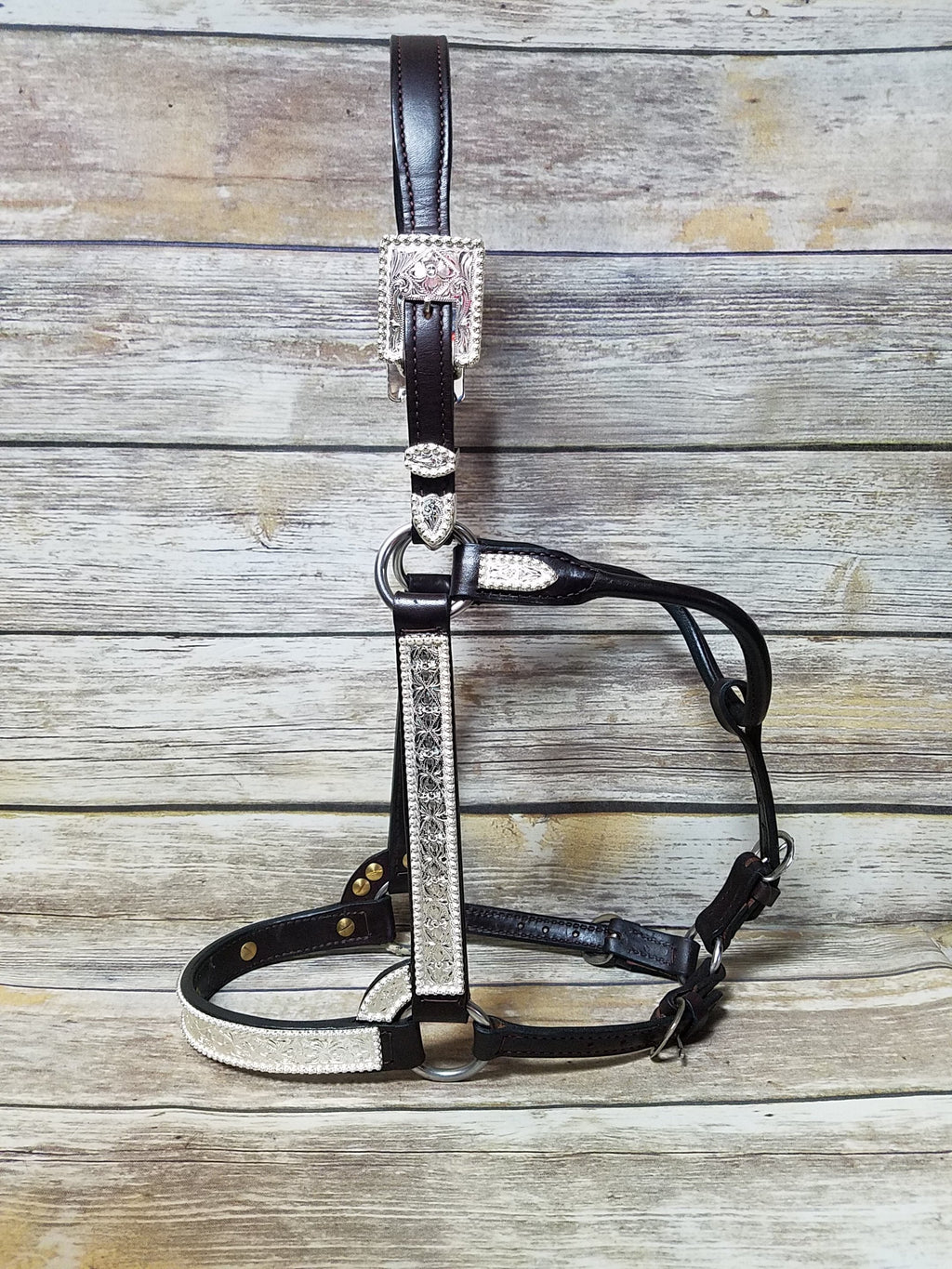 #102 Santana Halter