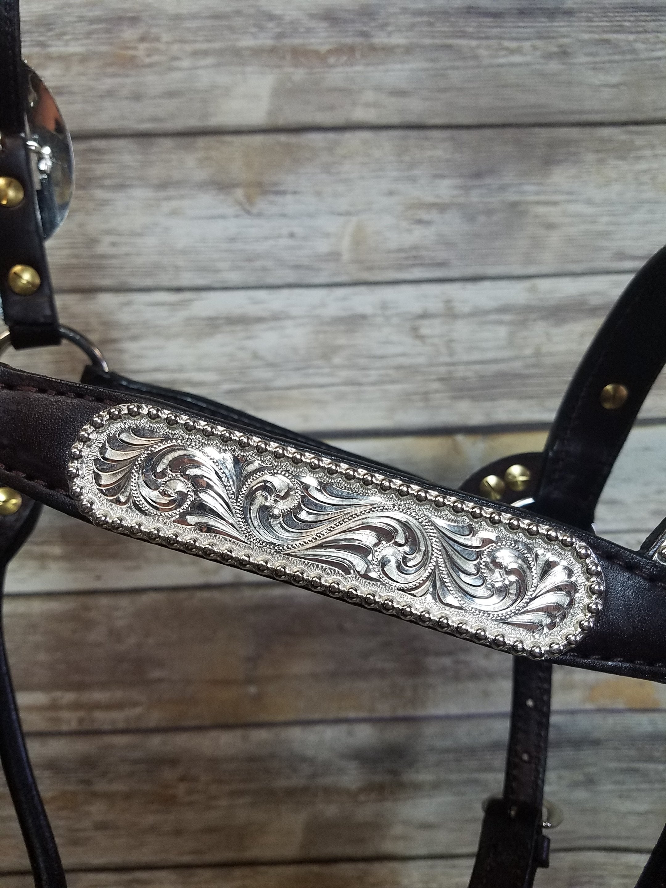 #100 Santana Halter