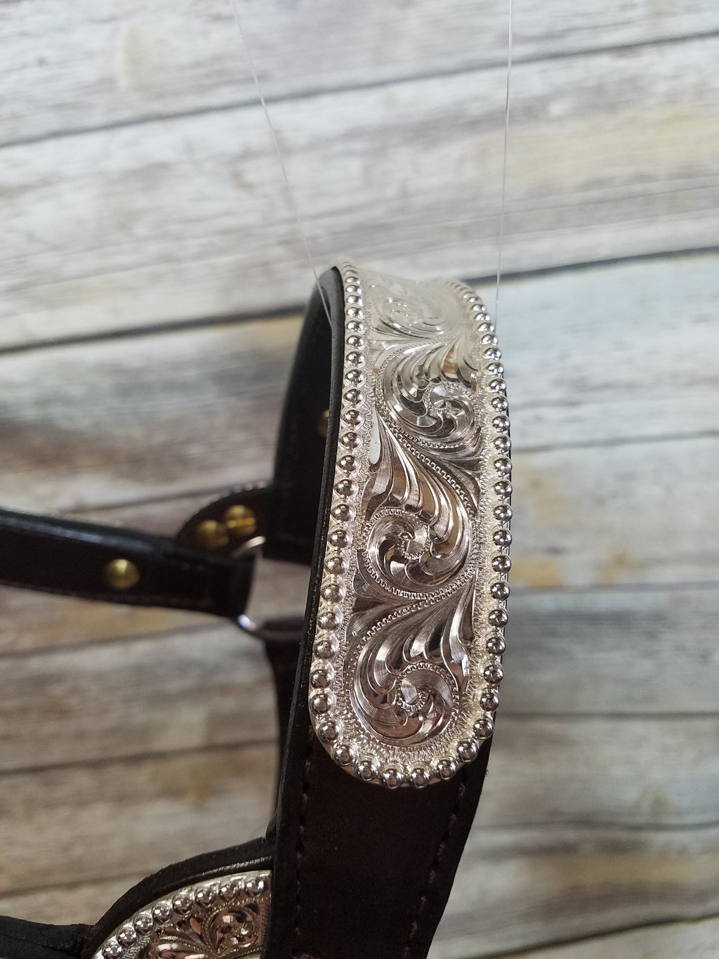 #100 Santana Halter