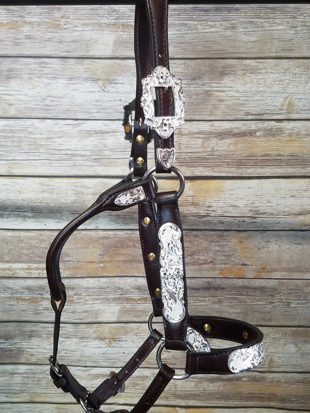 #111 Santana Halter