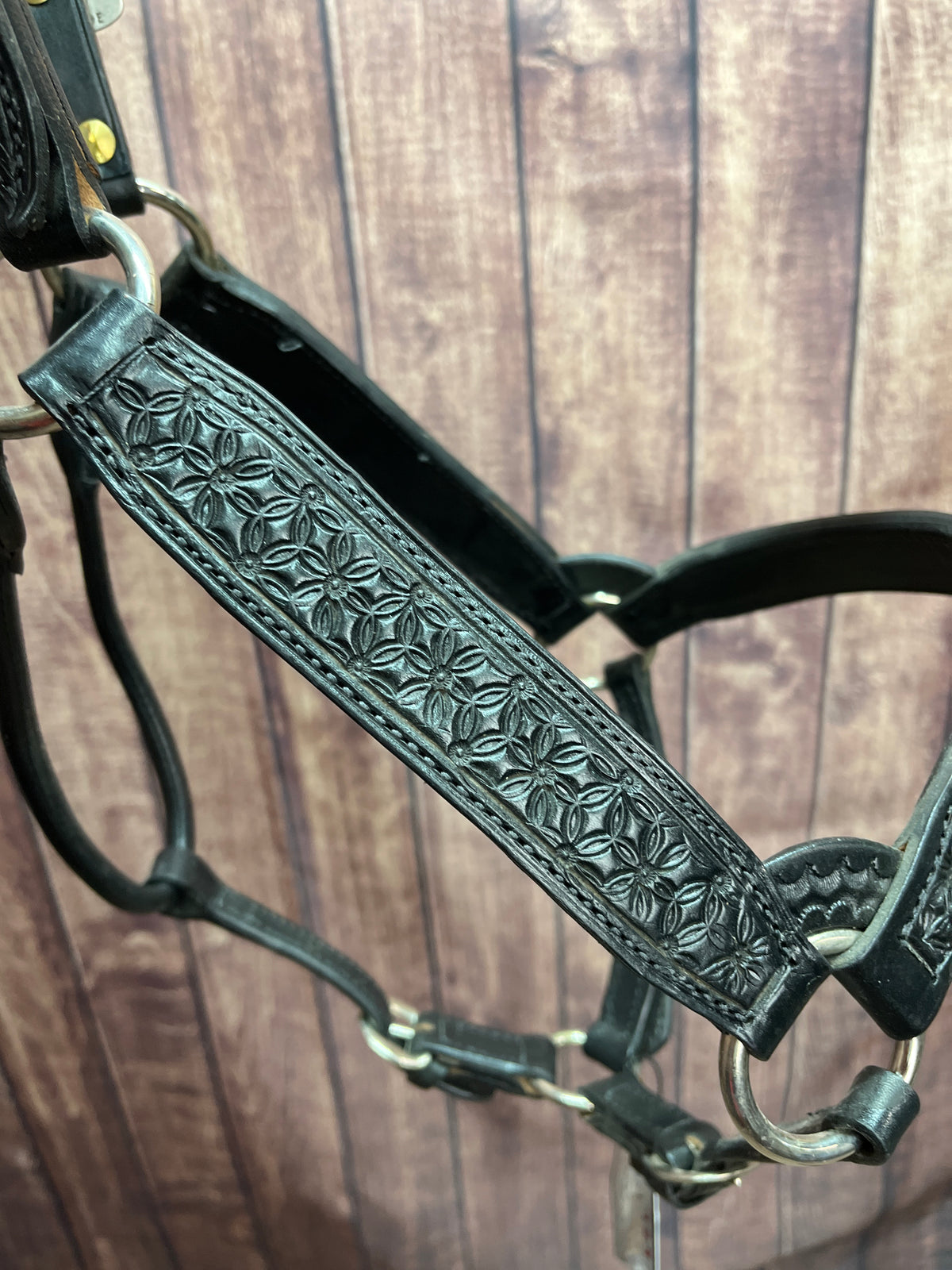 Tooled Halter #29 2Yr/Mare
