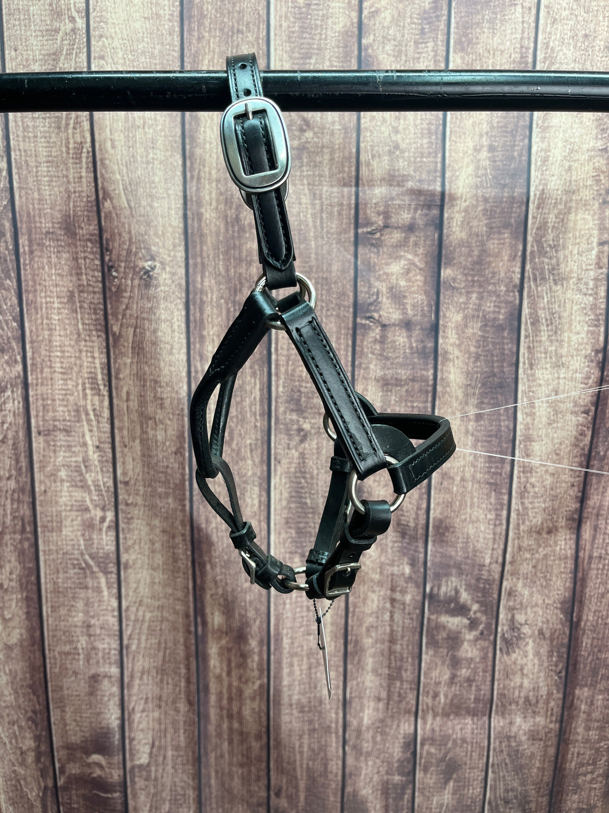 Mini A Leather Halter #2