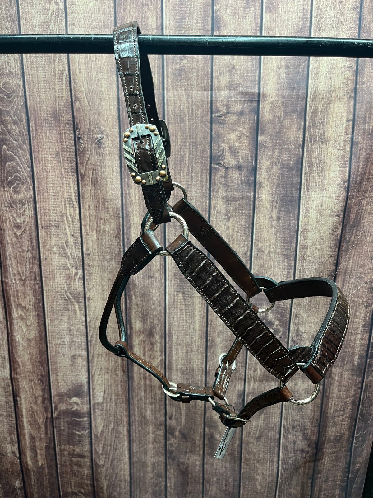 Caiman Halter #4 Horse
