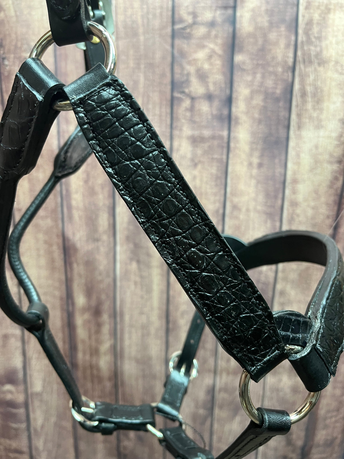 Caiman Halter #9 Yearling