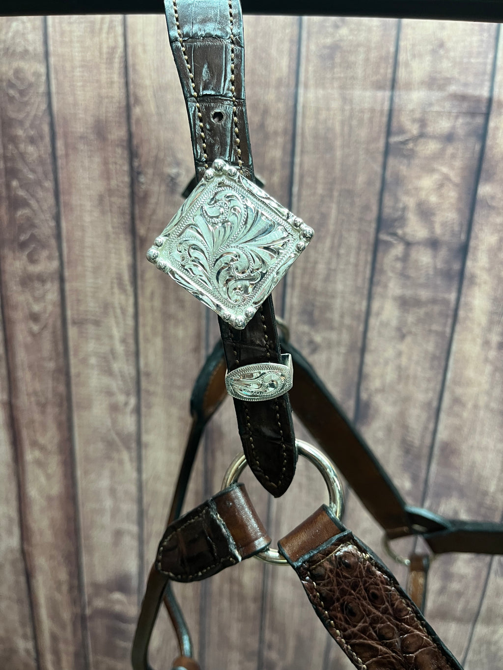 Caiman Halter #5 Horse