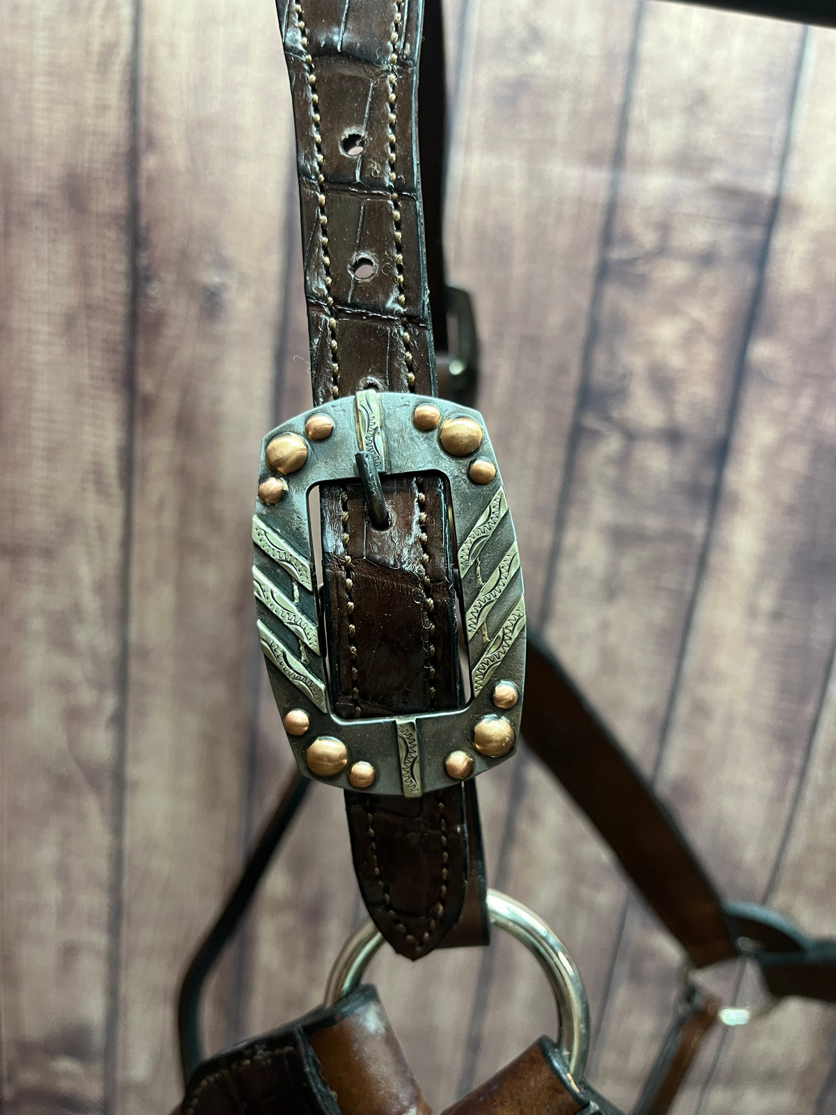 Caiman Halter #4 Horse