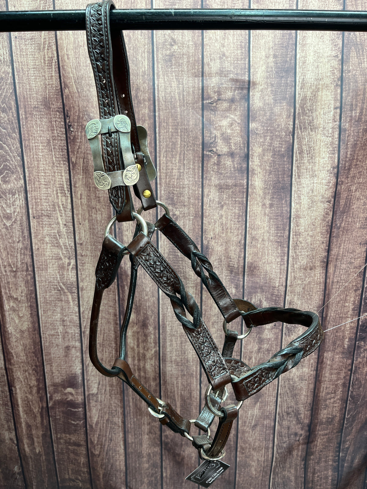 Tooled Halter #42 2Yr/Mare