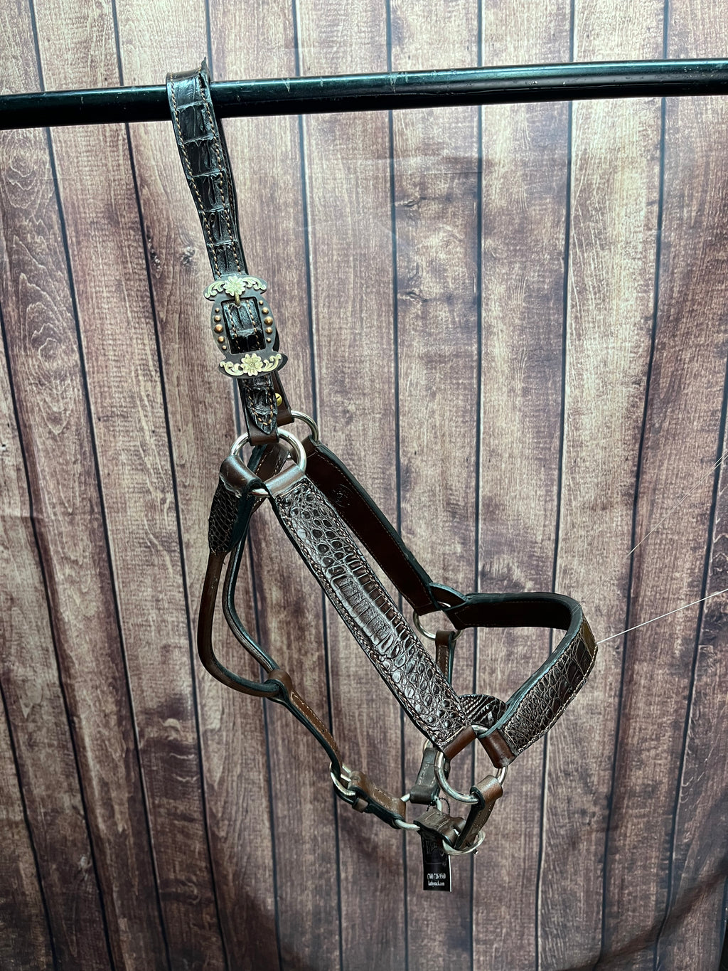 Caiman Halter #19 2Yr/Mare