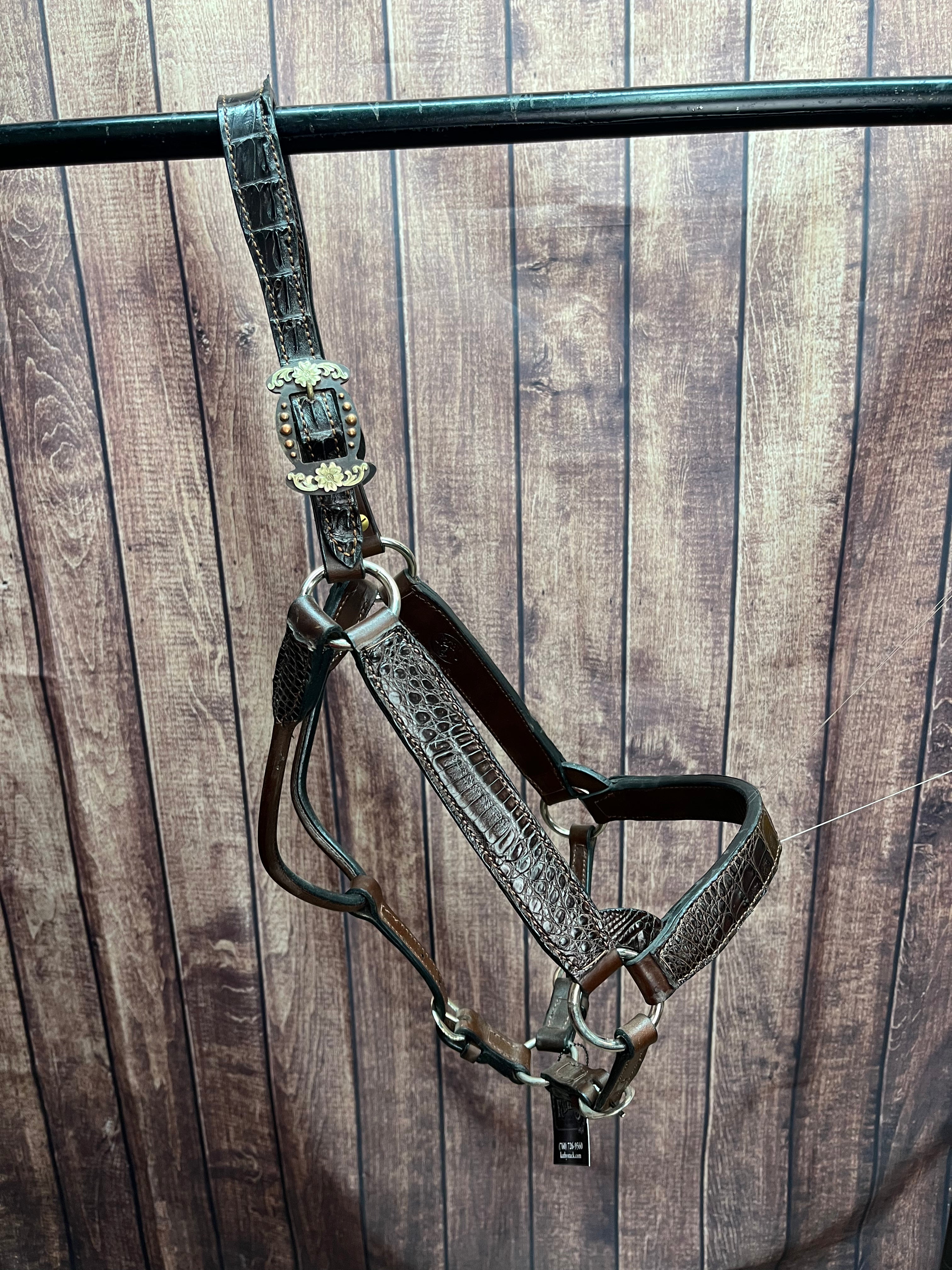 Caiman Halter #19 2Yr/Mare