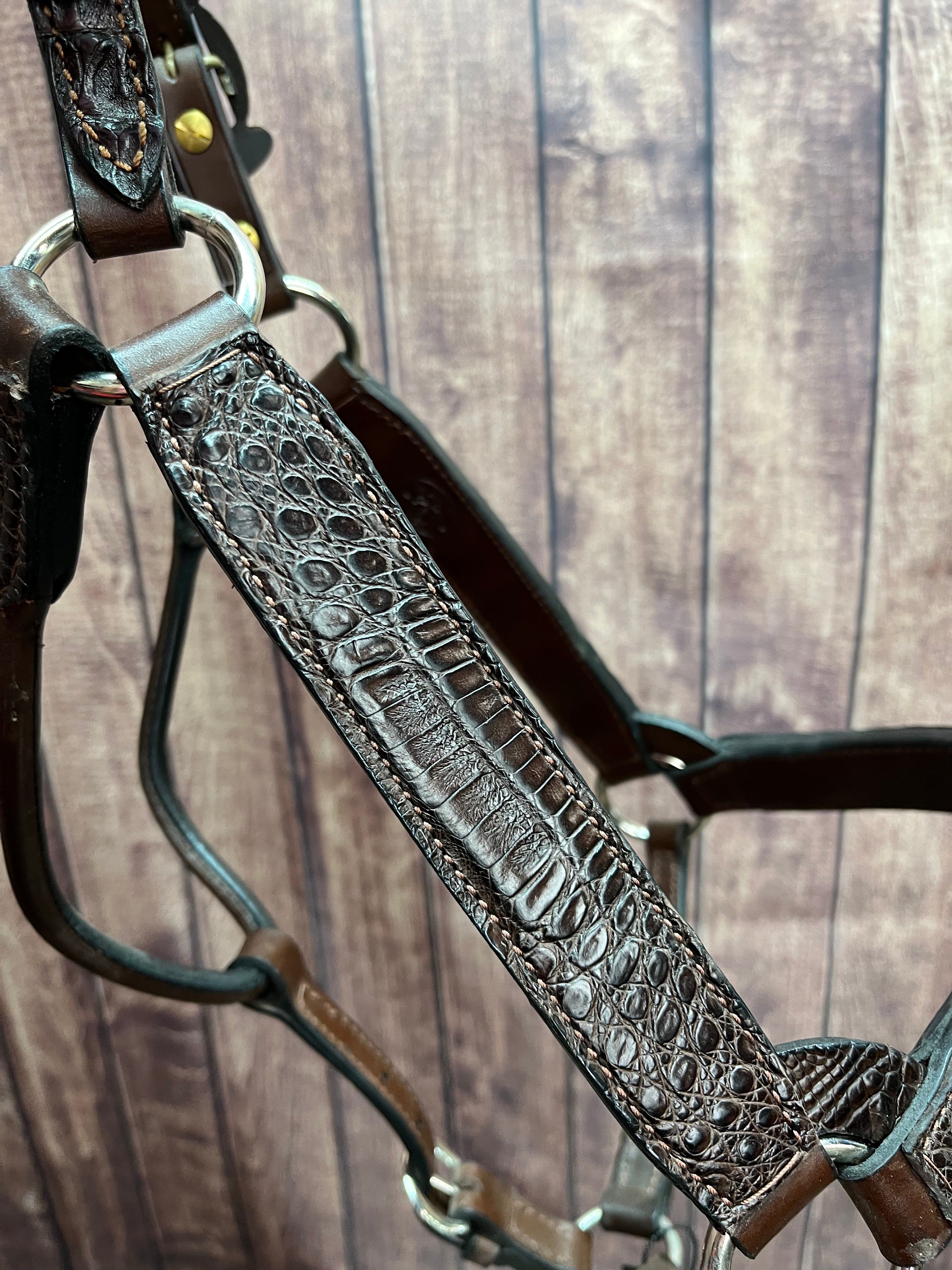 Caiman Halter #19 2Yr/Mare