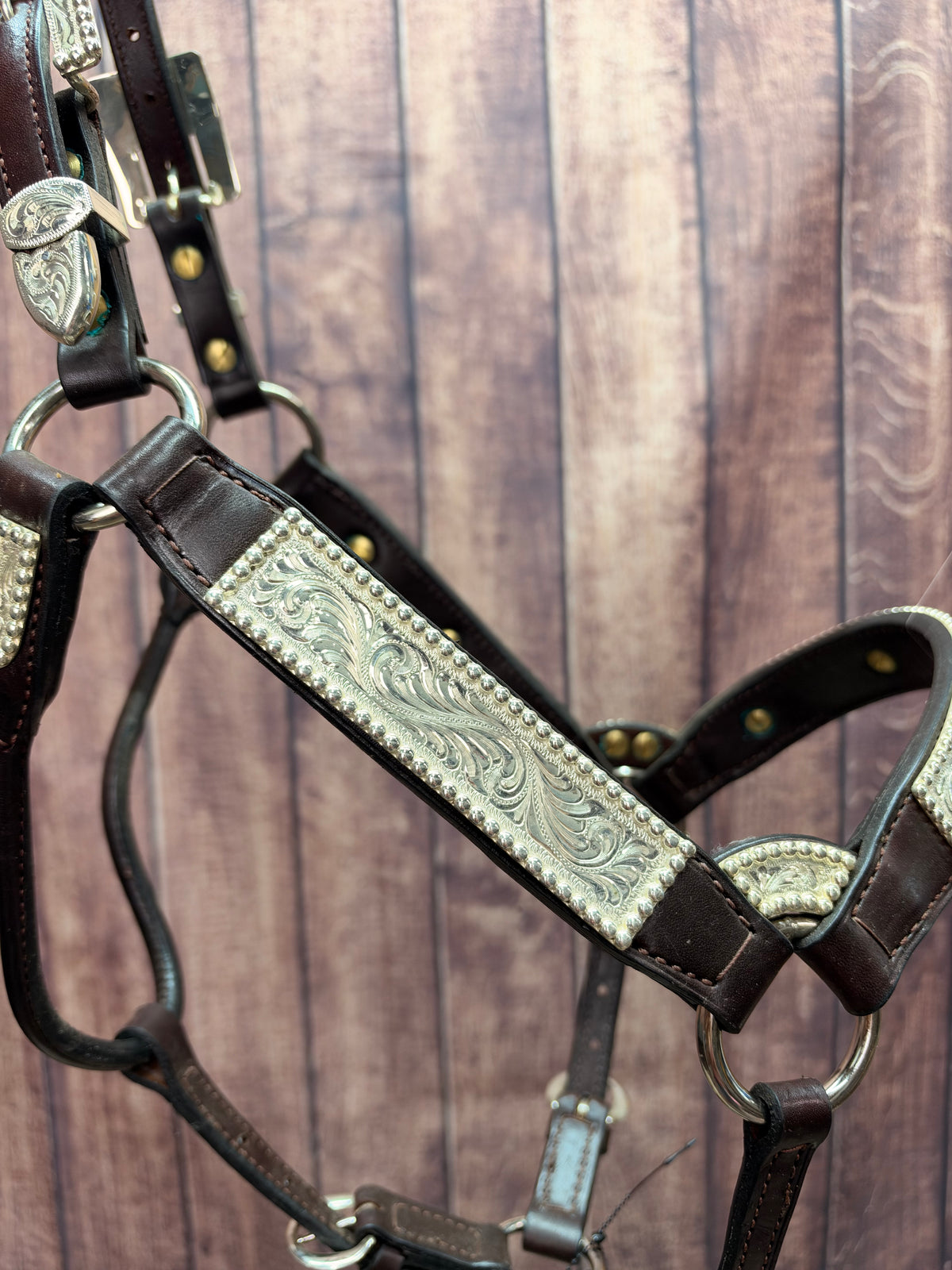 Santana 2yr/Mare Halter #106