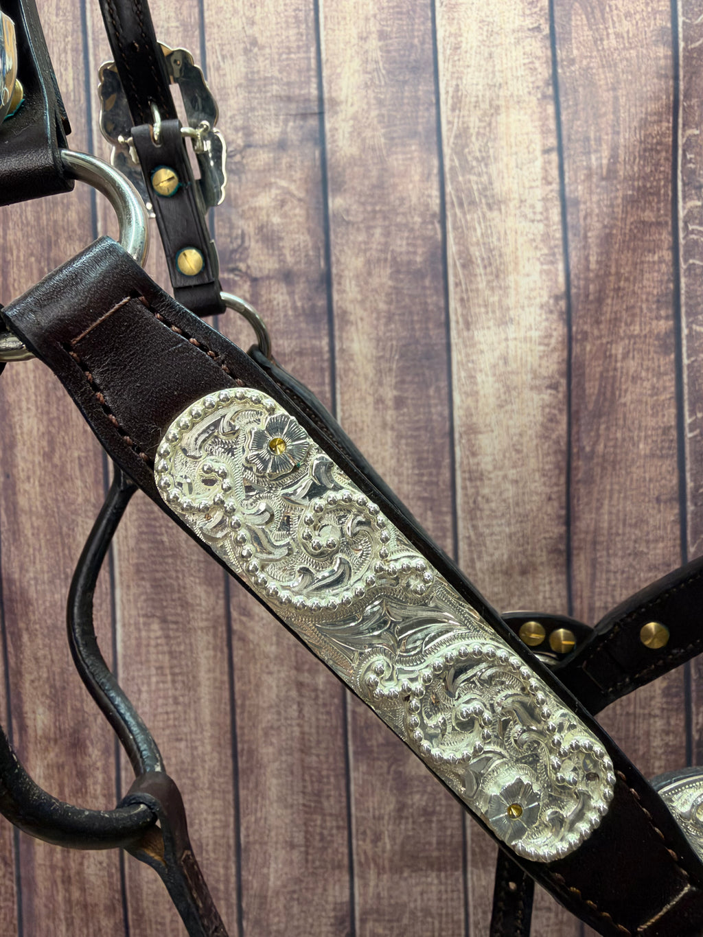 Santana 2yr/Mare Halter #285