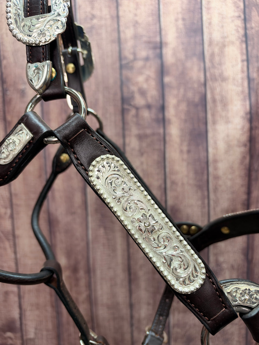 Santana 2Yr/Mare Halter #255