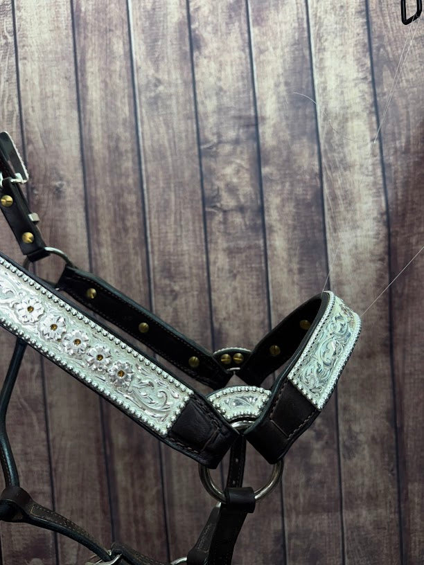 #433 Santana Halter