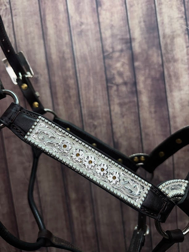 #433 Santana Halter