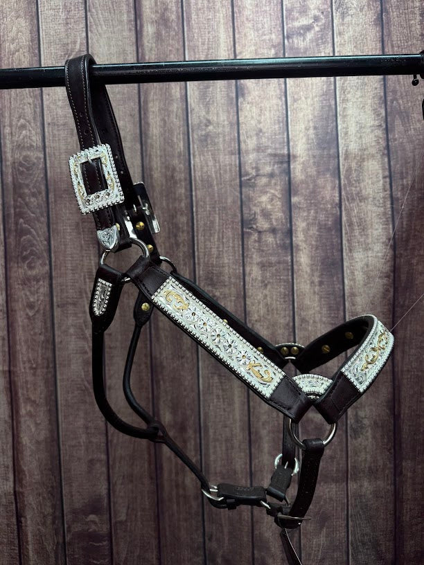 #432 Santana Halter