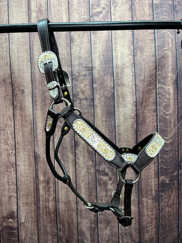 Yearling Halters