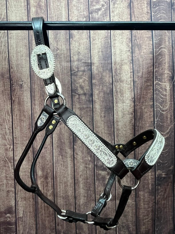 #295 Santana Halter